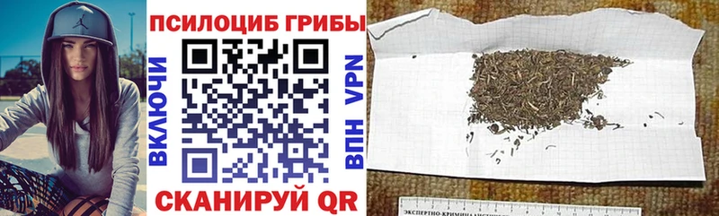 Галлюциногенные грибы мухоморы  купить  цена  Ростов-на-Дону 