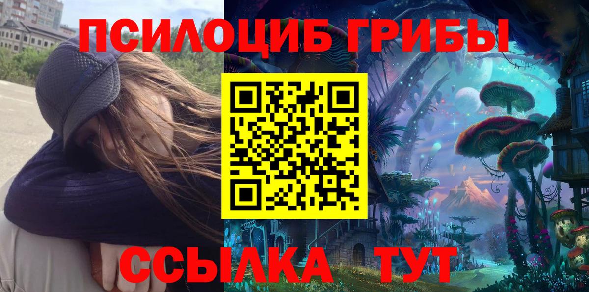 Галлюциногенные грибы Psilocybe  Вход с VPN  Россия 