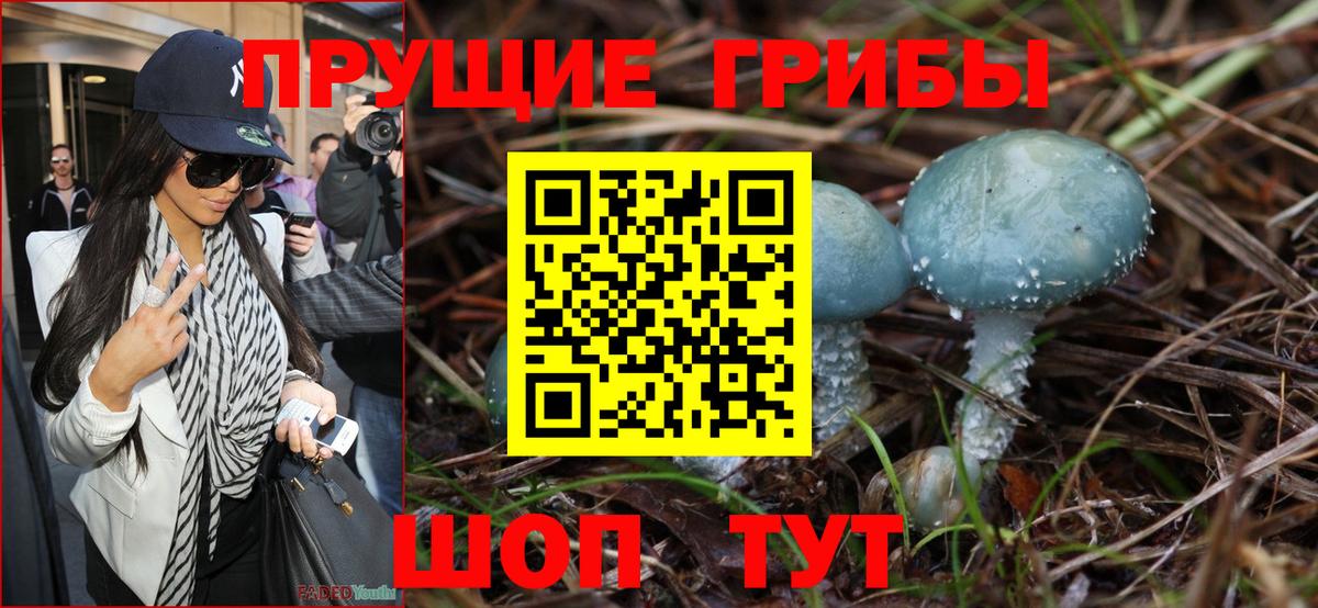 Псилоцибиновые грибы MAGIC MUSHROOMS Россия